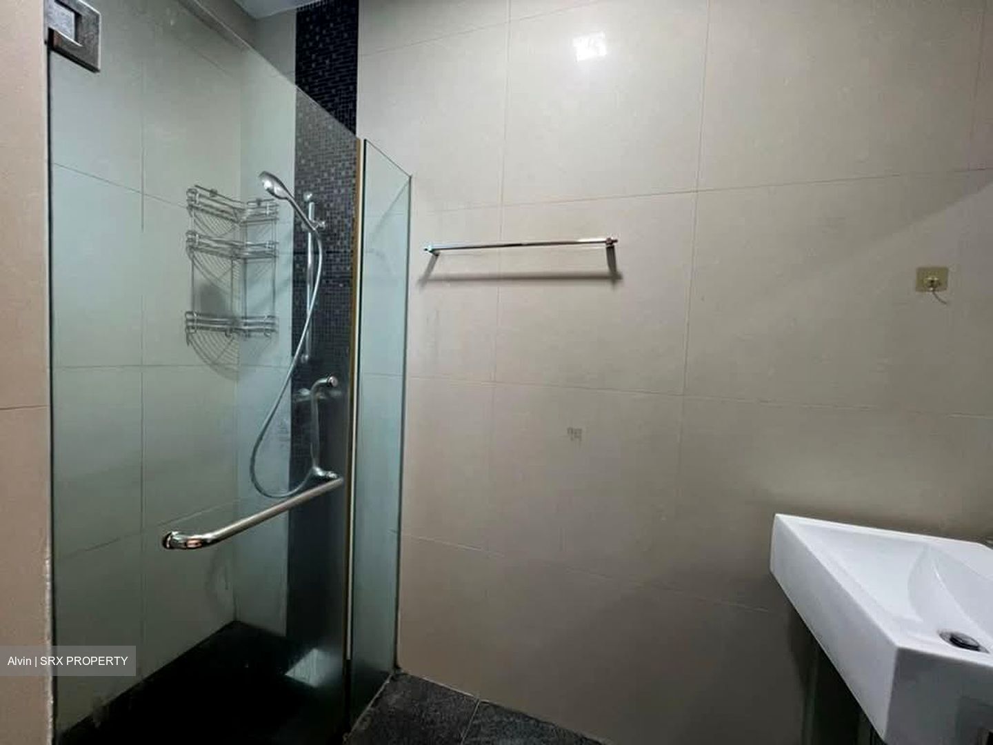 Haig Residences (D15), Apartment #600331241